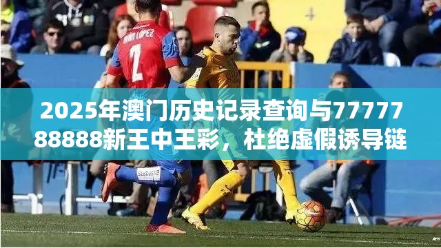 2025年澳门历史记录查询与7777788888新王中王彩，杜绝虚假诱导链-本质释义、专家解析解释与落实