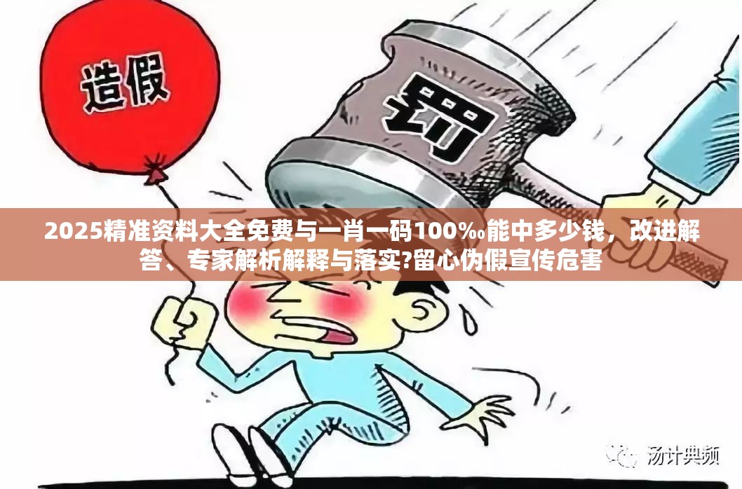 2025精准资料大全免费与一肖一码100‰能中多少钱，改进解答、专家解析解释与落实?留心伪假宣传危害