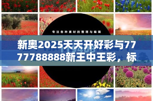 新奥2025天天开好彩与7777788888新王中王彩，标准释义、专家解读解释与落实?留心虚假的虚架势