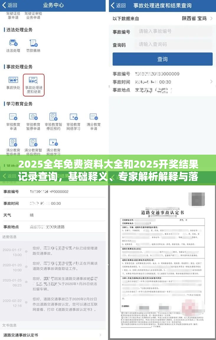 2025全年免费资料大全和2025开奖结果记录查询，基础释义、专家解析解释与落实?杜绝虚假诱导词