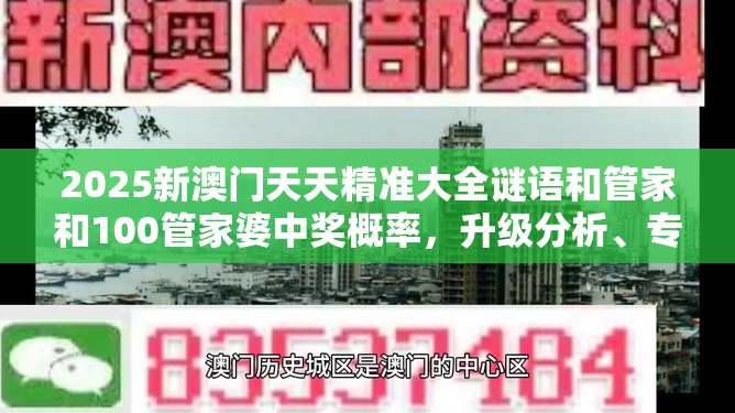 2025新澳门天天精准大全谜语和管家和100管家婆中奖概率，升级分析、专家解读解释与落实,谨防华而不实包装