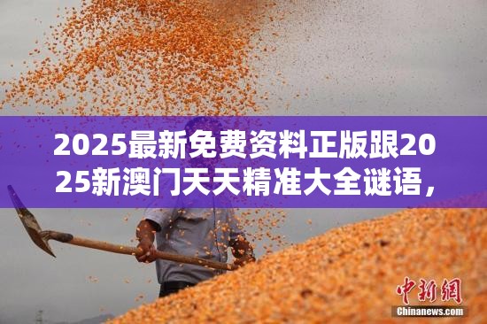 2025最新免费资料正版跟2025新澳门天天精准大全谜语，实用释义、专家解读解释与落实-拒绝欺骗性承诺
