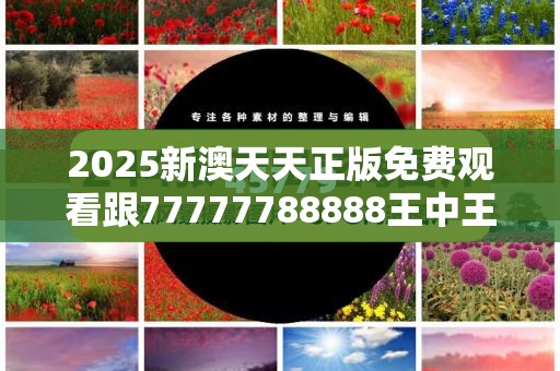 2025新澳天天正版免费观看跟77777788888王中王正版，效果解读、专家解析解释与落实