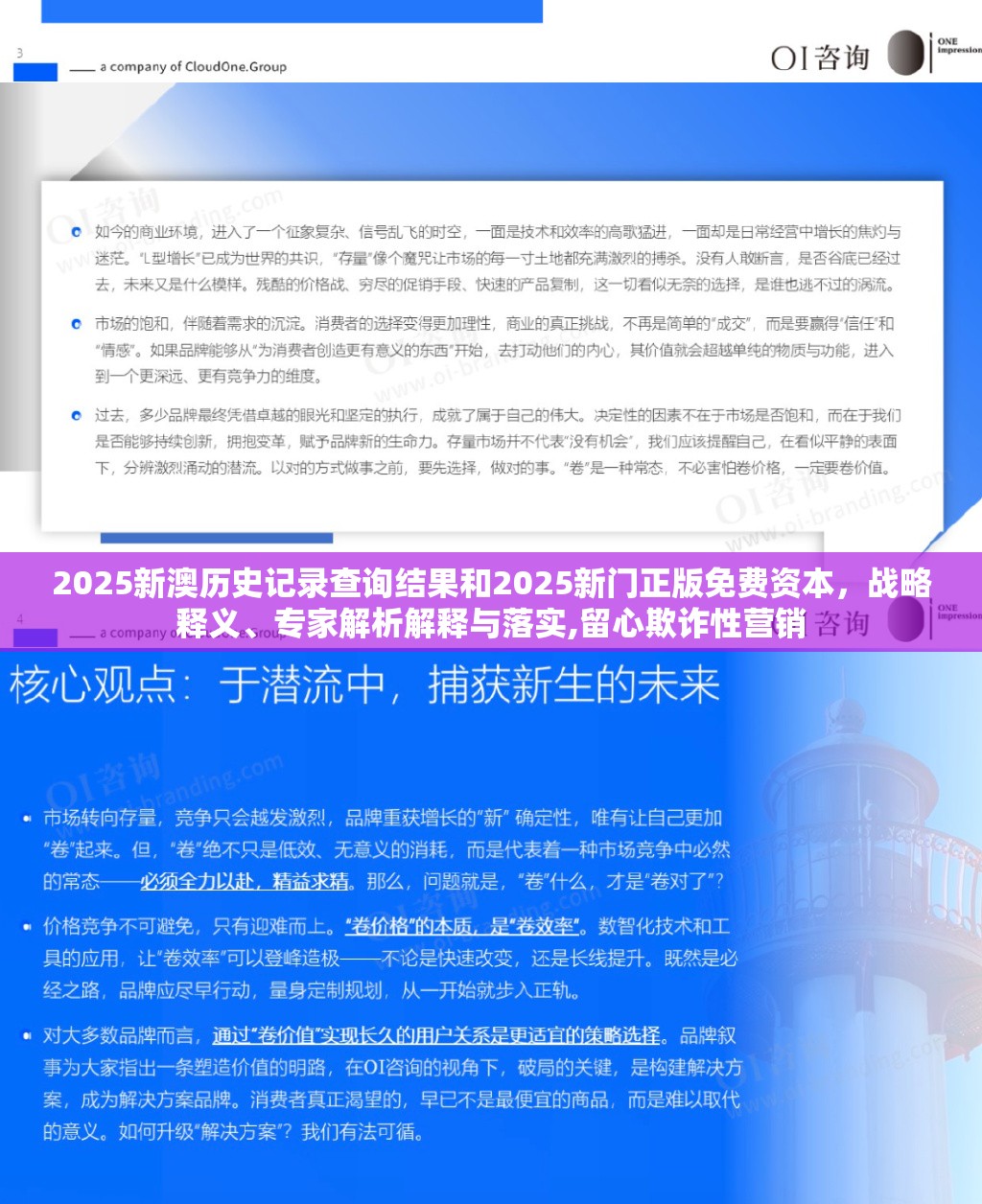2025新澳历史记录查询结果和2025新门正版免费资本，战略释义、专家解析解释与落实,留心欺诈性营销