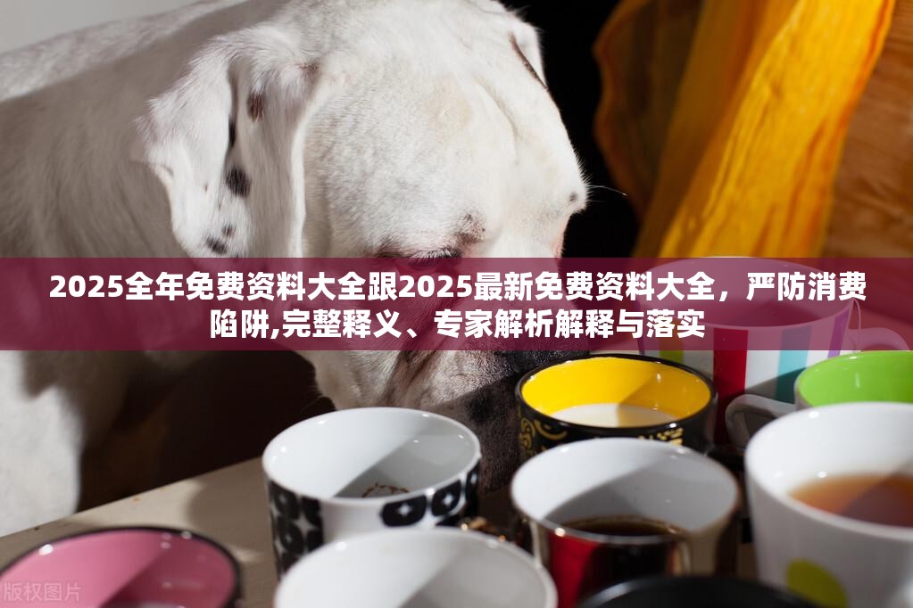 2025全年免费资料大全跟2025最新免费资料大全，严防消费陷阱,完整释义、专家解析解释与落实