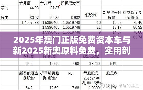 2025年澳门正版免费资本车与新2025新奥原料免费，实用剖析、专家解读解释与落实?