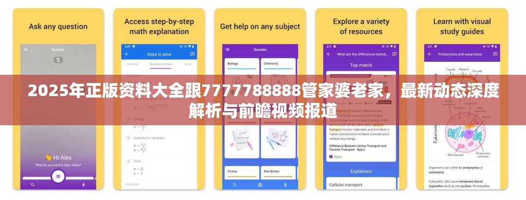 2025年正版资料大全 第2页