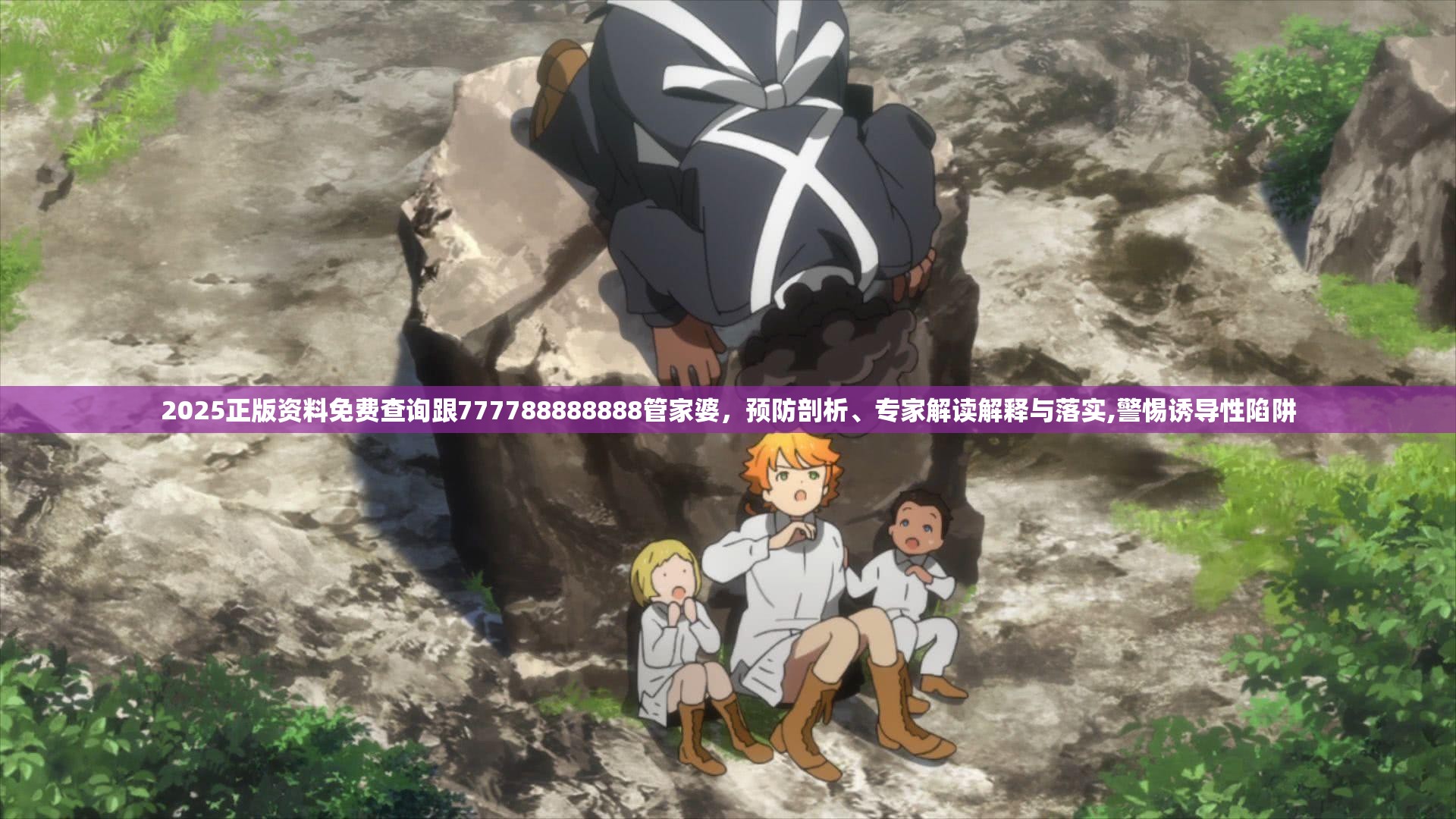 专家解读解释与落实 第3页