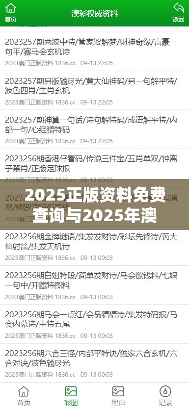 2025正版资料免费查询与2025年澳门历史记录查询，最新动态深度解析与前瞻视频报道